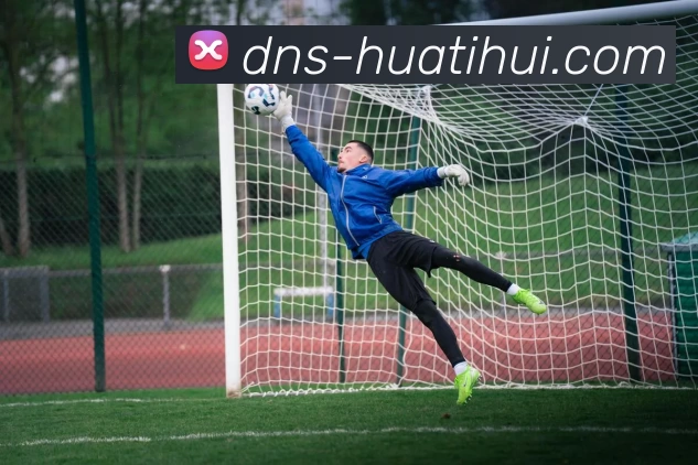 华体会平台生态图